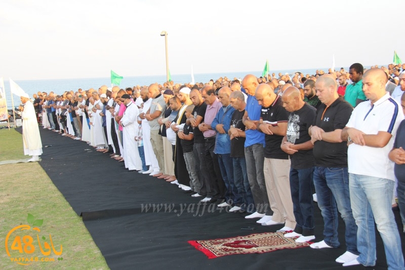 salah 3ed montahzah3 (81).JPG